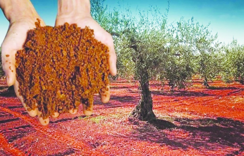 Verimli toprakların korunması hayati önem taşıyor