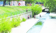 Çocuklar, tehlikeli sularda yüzüyor