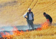 Toprağı yakmayın!