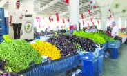 Türkiye'de gıda enflasyonu  yıllık yüzde 34,86'yı buldu