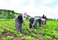 Kazanan çiftçi ve tüketici  olmalı, “aracılar” değil