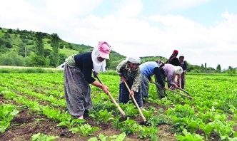 Kazanan çiftçi ve tüketici  olmalı, “aracılar” değil