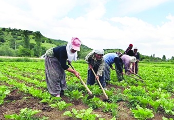Kazanan çiftçi ve tüketici  olmalı, “aracılar” değil