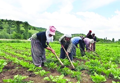 Kazanan çiftçi ve tüketici  olmalı, “aracılar” değil
