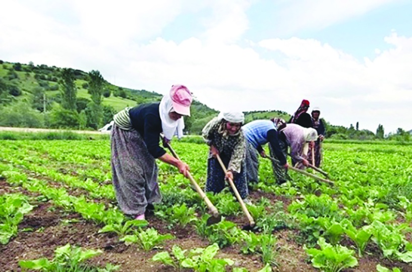 Kazanan çiftçi ve tüketici  olmalı, “aracılar” değil