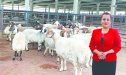 Güvenilir hayvansal gıda olmadan  toplum sağlığı korunamaz
