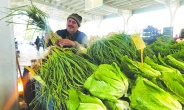 ENAG'a göre yıllık enflasyon yüzde 51.49, TÜİK’e göre 32,11