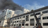 Halı Sarayı’nda yangın