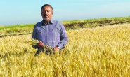 İki fincan kahve içebilmek için 20  kilo buğday satmak zorundayız