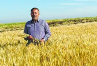 İki fincan kahve içebilmek için 20  kilo buğday satmak zorundayız