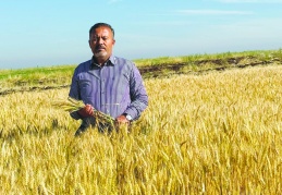 İki fincan kahve içebilmek için 20  kilo buğday satmak zorundayız