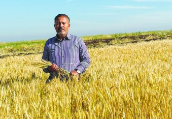 İki fincan kahve içebilmek için 20  kilo buğday satmak zorundayız