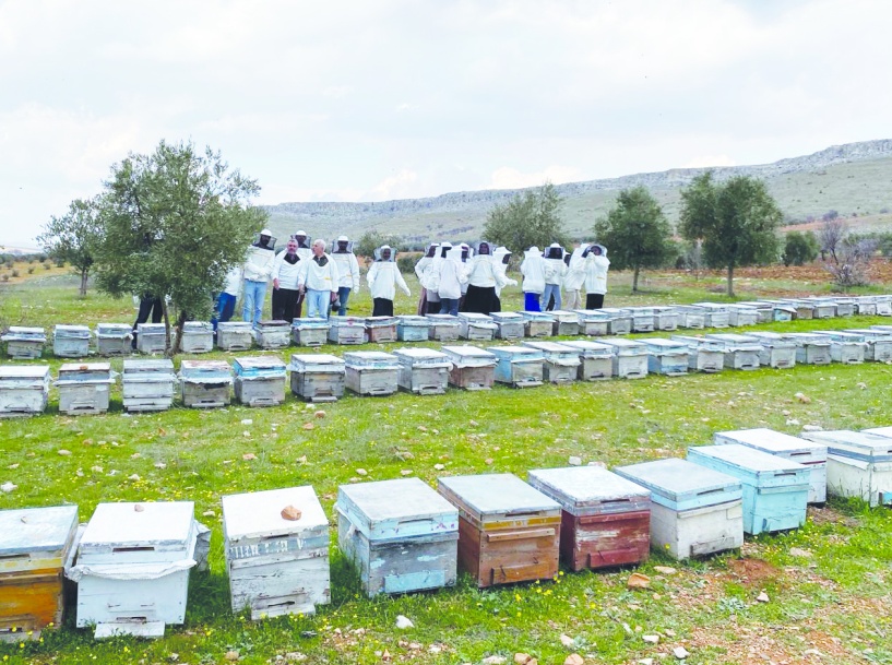 Devletin görevi üreticiye yeni harçlar yüklemek değil