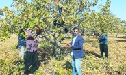 Çiftçiyi endişeye sevk eden  fıstık ithalatı durdurulmalı