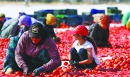 2 milyona yakın çocuğumuz eğitim dışında kaldı