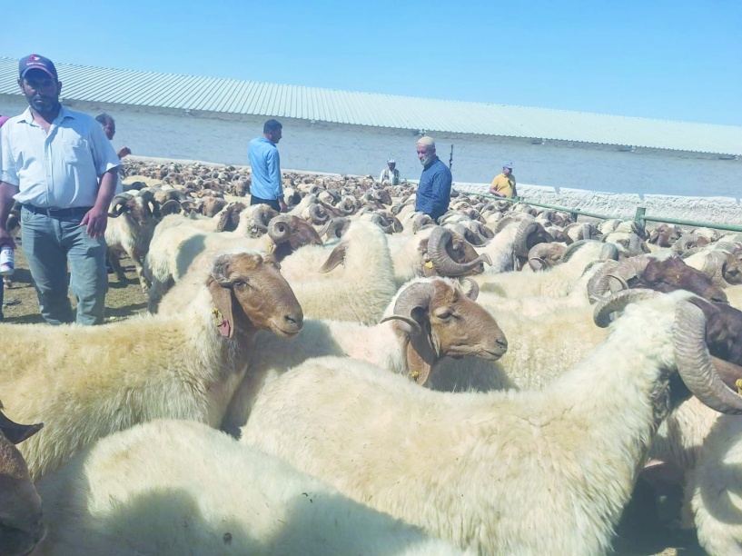 Üreticiler yüzde 70’e kadar  hibelerden faydalanabilecek