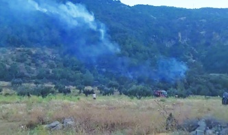 İslahiye’deki orman yangını söndürüldü