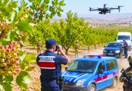 Fıstık bahçelerinde saha güvenliği sağlanmalı