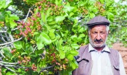 Çiftçi korunmalı, alın terinin  ve emeğinin karşılığını almalı