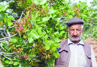 Çiftçi korunmalı, alın terinin  ve emeğinin karşılığını almalı
