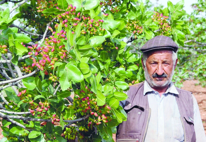 Çiftçi korunmalı, alın terinin  ve emeğinin karşılığını almalı