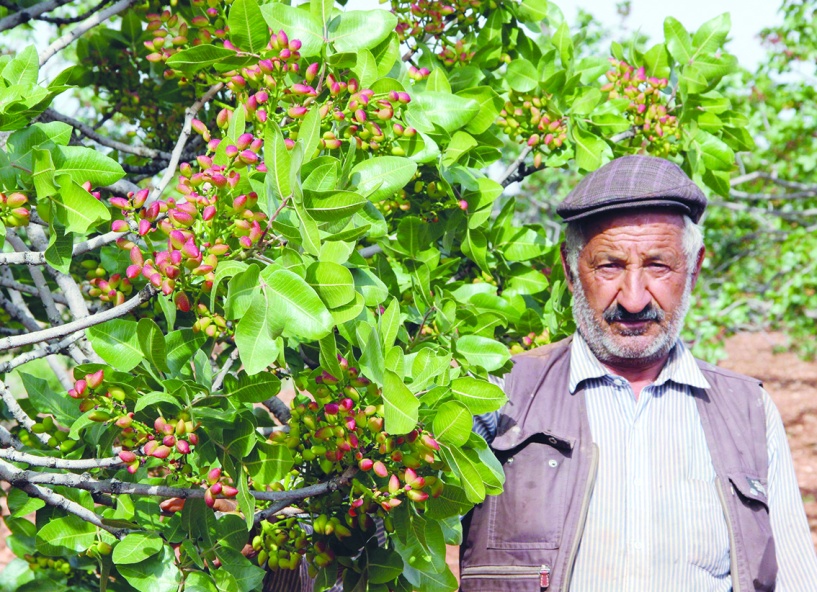 Çiftçi korunmalı, alın terinin  ve emeğinin karşılığını almalı
