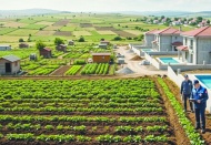 Asırlık fıstık ve zeytin ağaçlarının  yerine mantar gibi villalar yapıldı