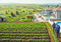 Asırlık fıstık ve zeytin ağaçlarının  yerine mantar gibi villalar yapıldı
