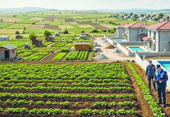 Asırlık fıstık ve zeytin ağaçlarının  yerine mantar gibi villalar yapıldı