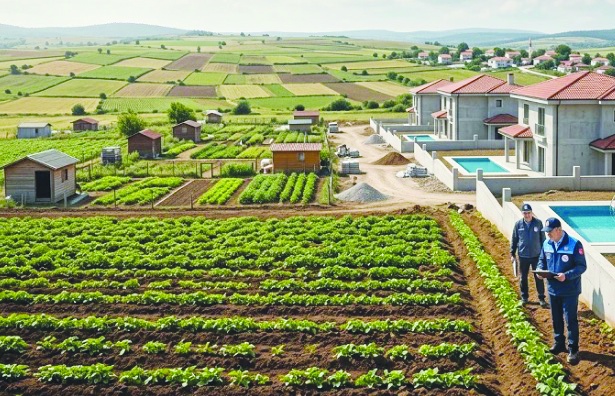 Asırlık fıstık ve zeytin ağaçlarının  yerine mantar gibi villalar yapıldı
