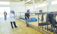 Sağlık ve davranış verileri yapay zekâyla analiz edilecek