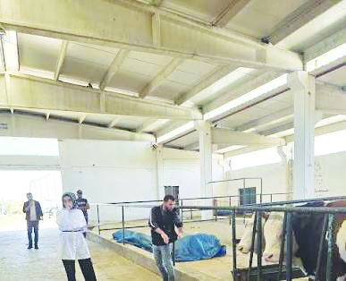 Sağlık ve davranış verileri yapay zekâyla analiz edilecek