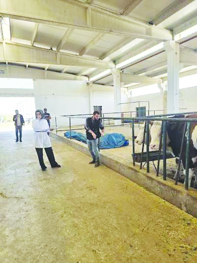 Sağlık ve davranış verileri yapay zekâyla analiz edilecek