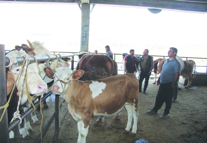 İthal danaya geçen  yıllardaki gibi talep yok