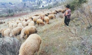Üretici emeğinin karşılığını  alırsa üretimi sürdürür