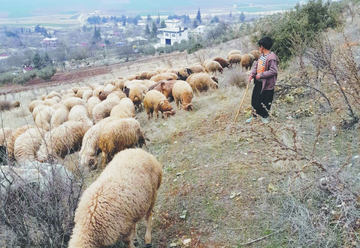 Üretici emeğinin karşılığını  alırsa üretimi sürdürür
