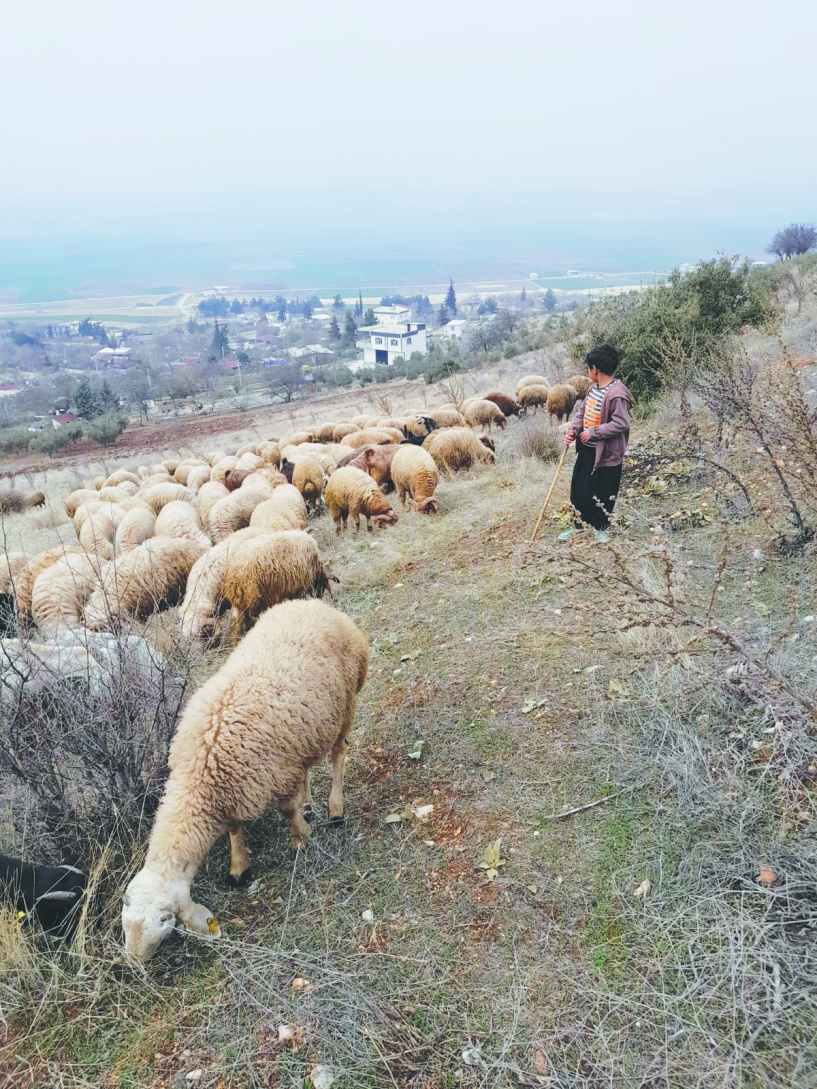 Üretici emeğinin karşılığını  alırsa üretimi sürdürür