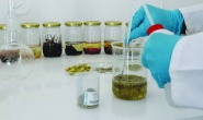 Domuz ve böcek kaynaklı aromaların gıdalarda kullanımı yasaklandı