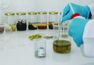 Domuz ve böcek kaynaklı aromaların gıdalarda kullanımı yasaklandı