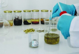 Domuz ve böcek kaynaklı aromaların gıdalarda kullanımı yasaklandı