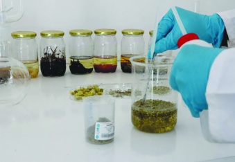 Domuz ve böcek kaynaklı aromaların gıdalarda kullanımı yasaklandı
