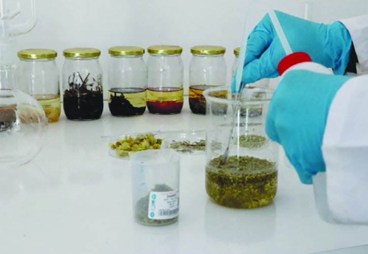 Domuz ve böcek kaynaklı aromaların gıdalarda kullanımı yasaklandı