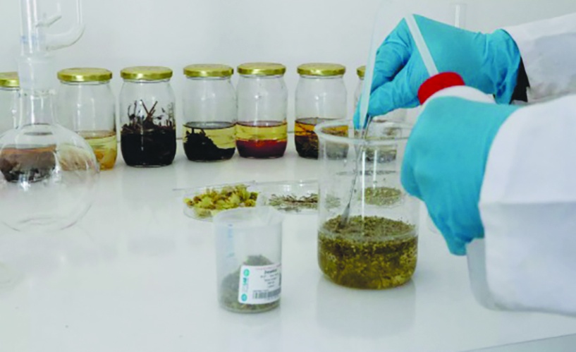 Domuz ve böcek kaynaklı aromaların gıdalarda kullanımı yasaklandı