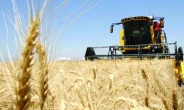 Tarımsal girdi fiyatları yüzde 27,62 üretici fiyatları yüzde 32,60 arttı