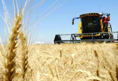 Tarımsal girdi fiyatları yüzde 27,62 üretici fiyatları yüzde 32,60 arttı