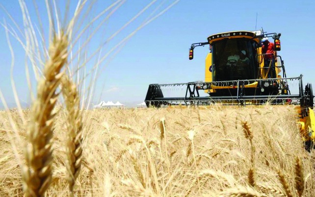 Tarımsal girdi fiyatları yüzde 27,62 üretici fiyatları yüzde 32,60 arttı