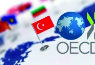 Türkiye için enflasyon beklentisi yükseldi