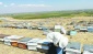 Avrupa ve İngiltere  bal ithalatını durdurdu