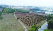 Antep’te de arsa satılacak