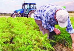 25 yılda tarım arazisi  4 milyon hektar azaldı